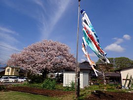 2604月写真07